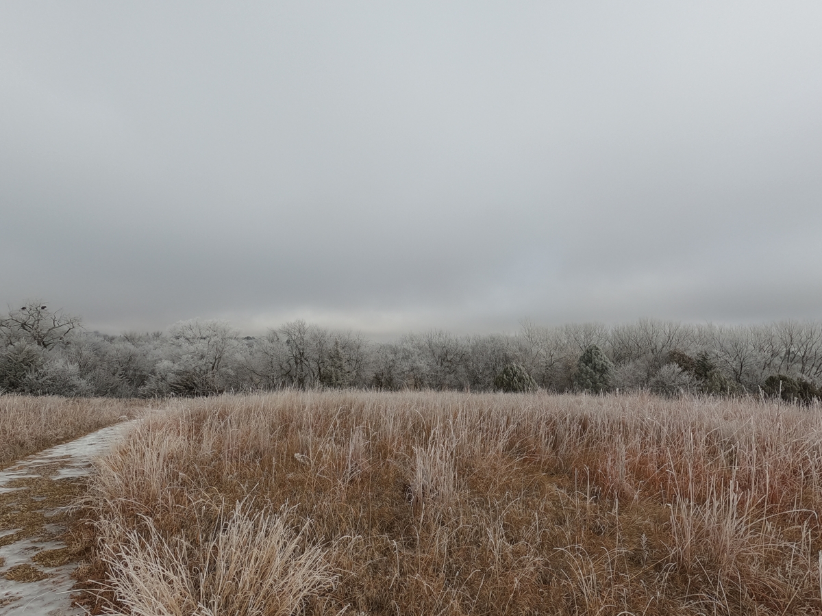 Frosty Horizon